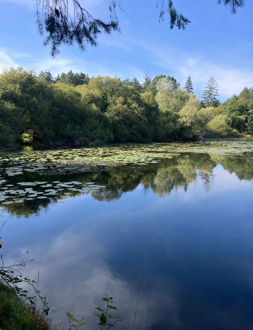Transparent bubble with 2.47 ac private pond in Broceliande forest