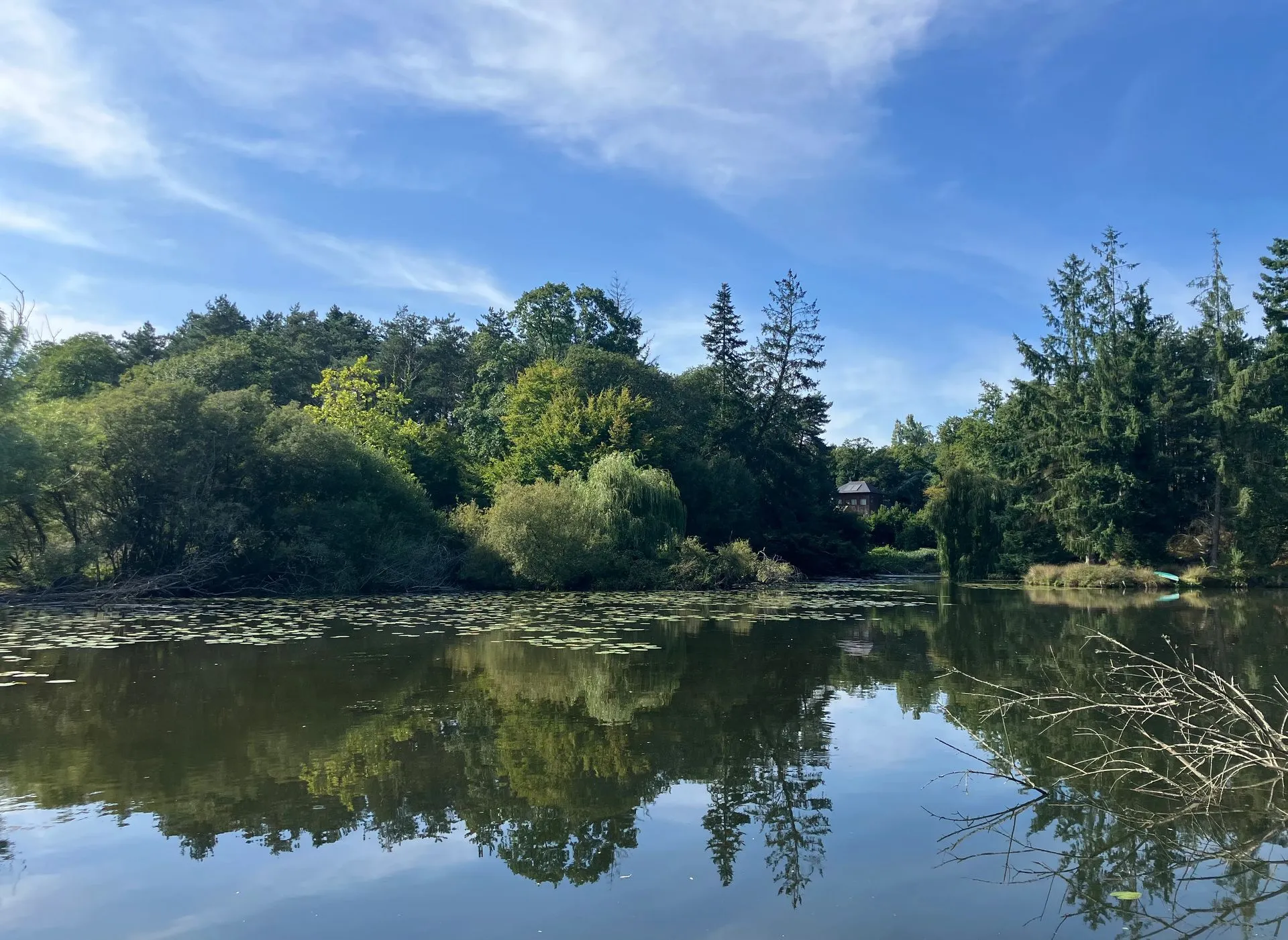 Transparent bubble with 2.47 ac private pond in Broceliande forest