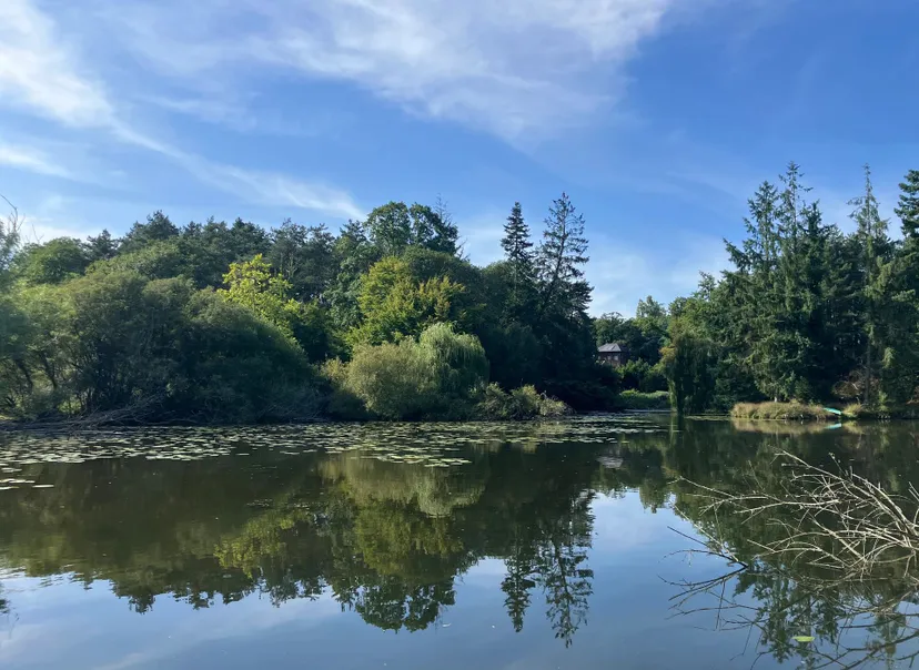 Transparent bubble with 2.47 ac private pond in Broceliande forest