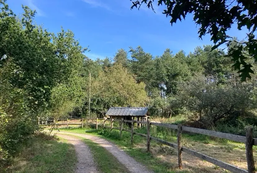 Transparent bubble with 2.47 ac private pond in Broceliande forest