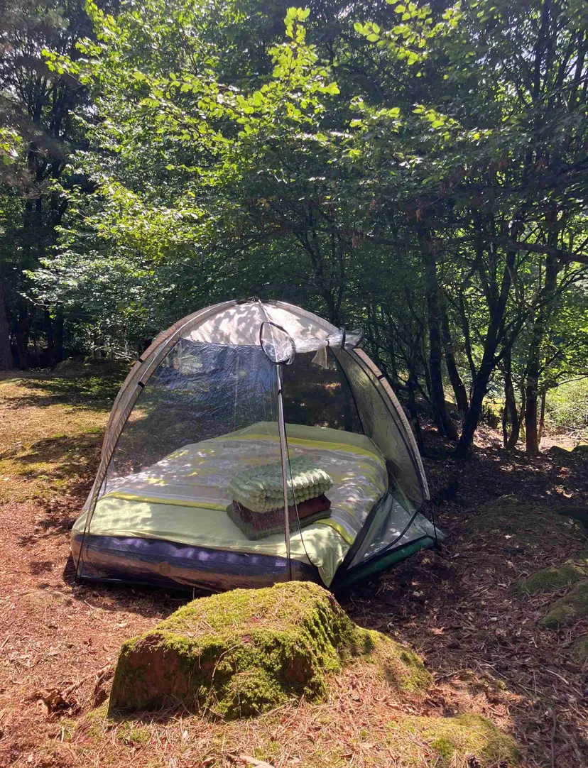 Transparent bubble with 2.47 ac private pond in Brittany