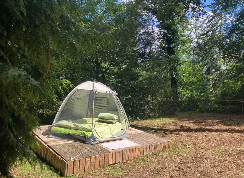 Transparent bubble with 2.47 ac private pond in Brittany