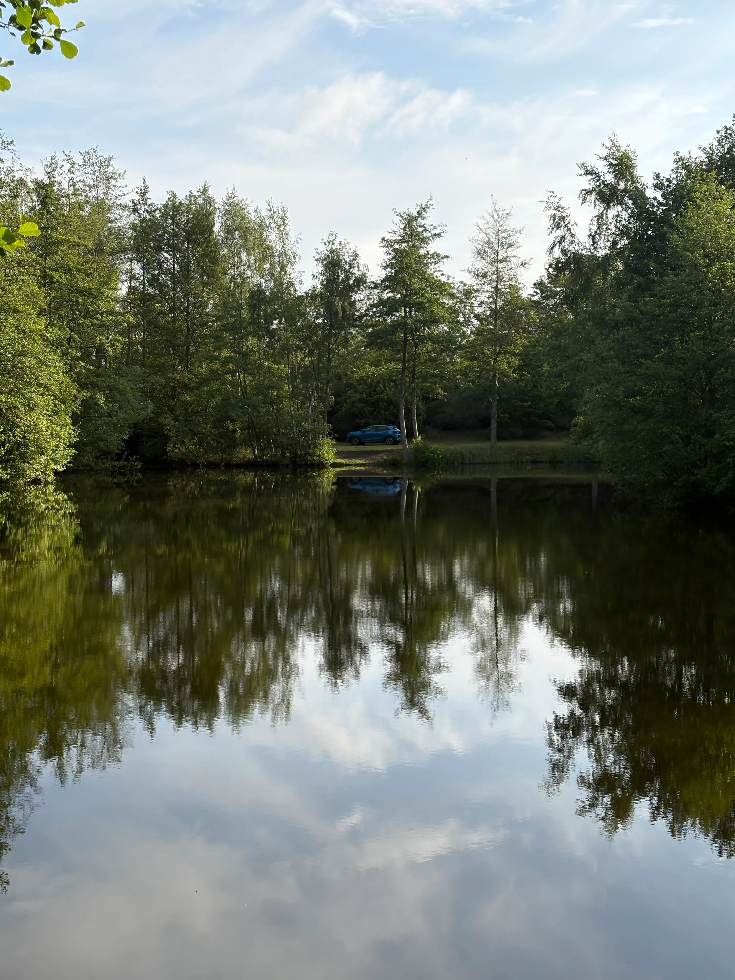 Pond located near Lille