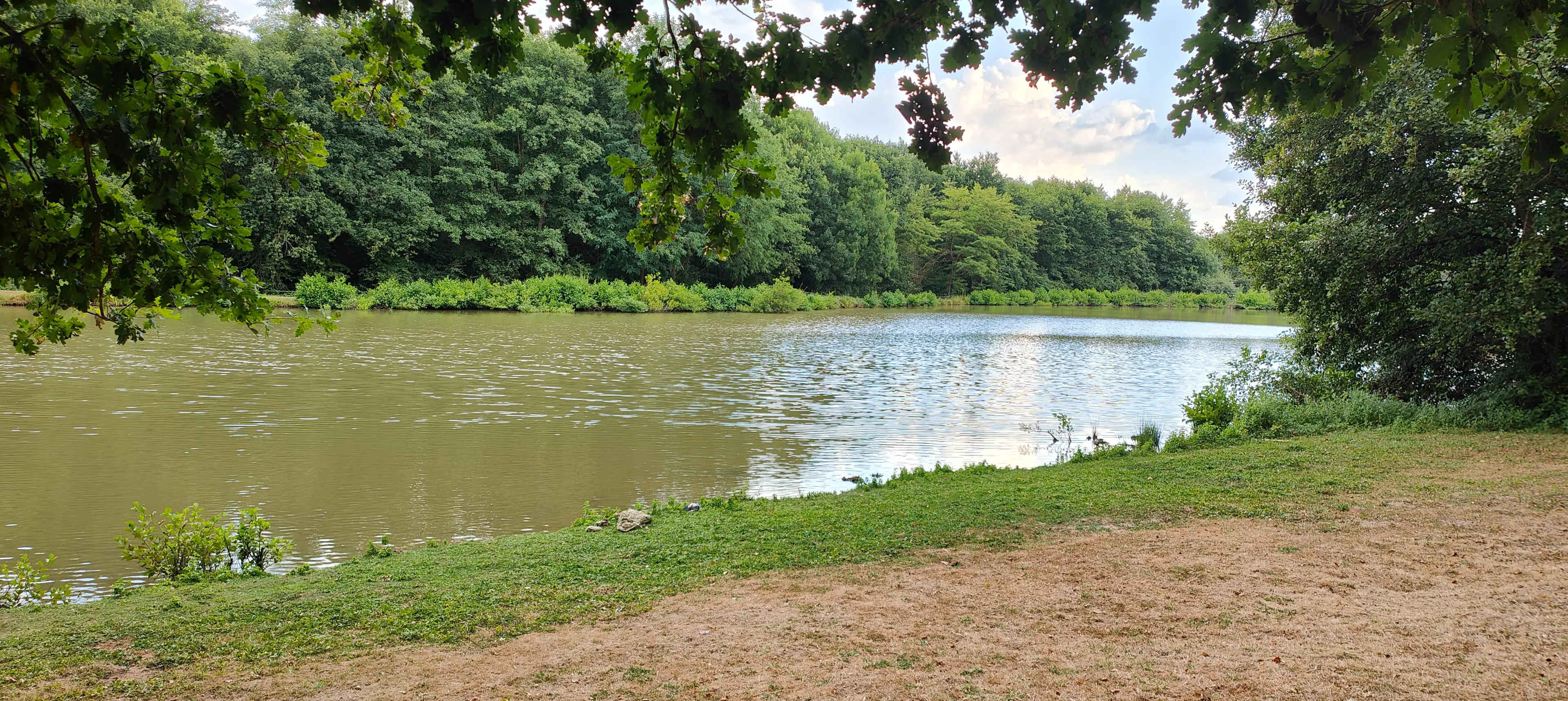 Gîte sur une propriété de 9 ha avec un étang sauvage