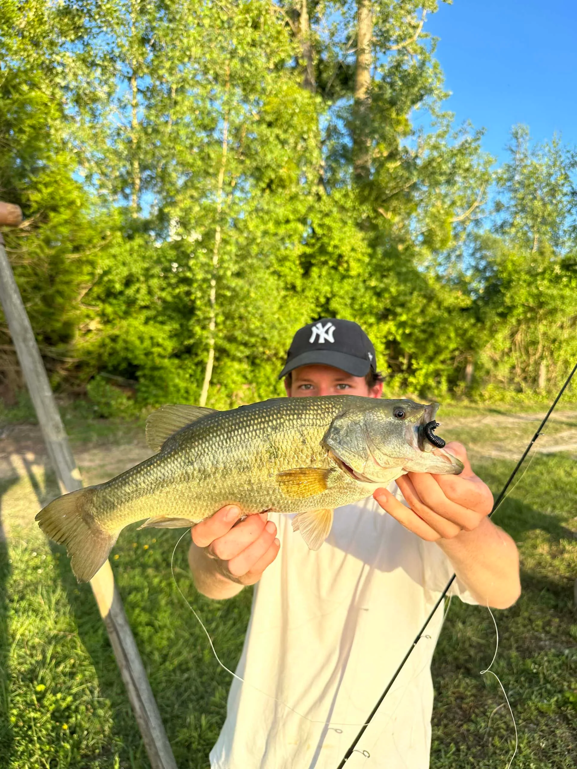 Étang avec yourte aménagée et forte population de poissons !