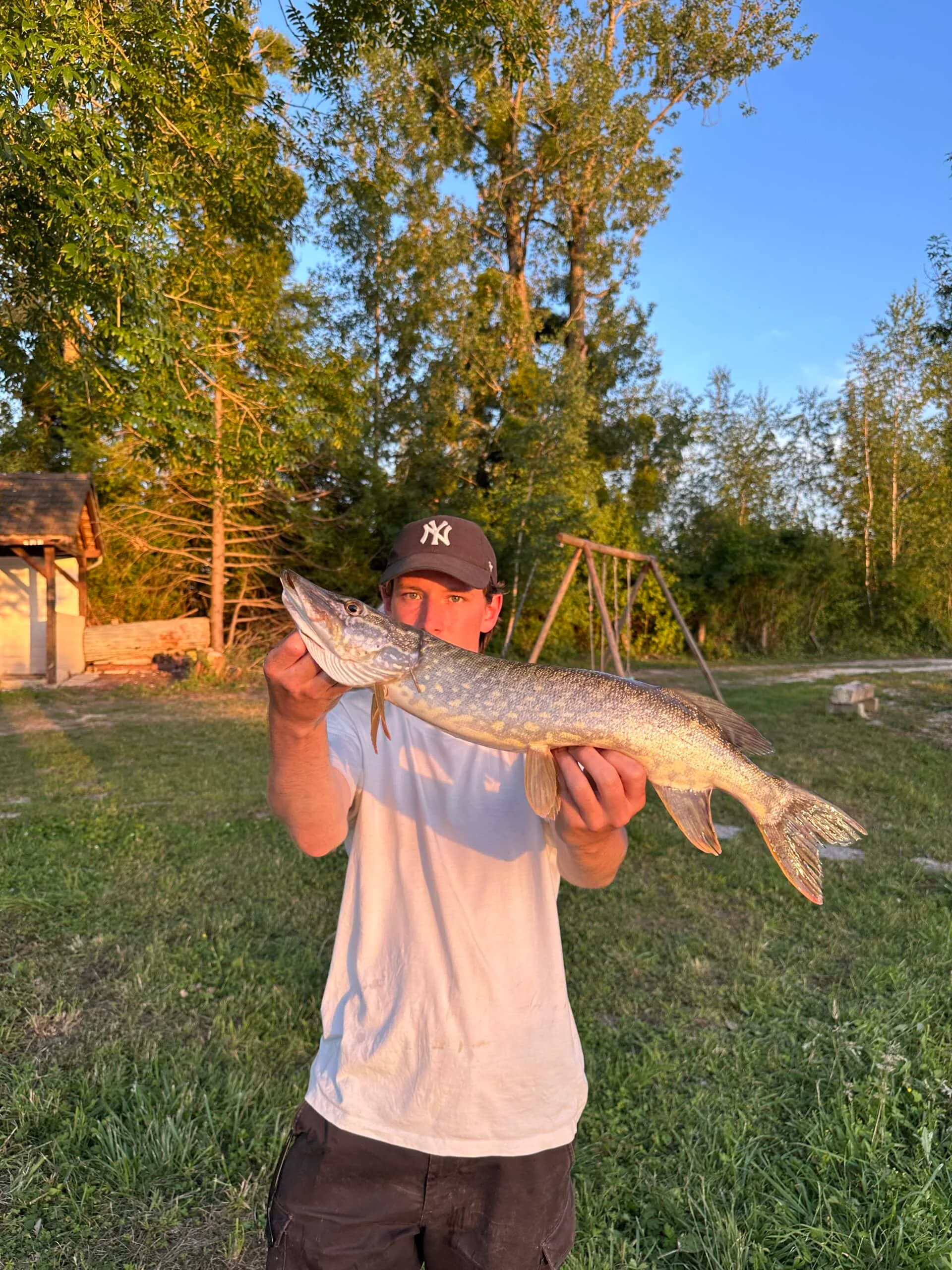 Étang avec yourte aménagée et forte population de poissons !