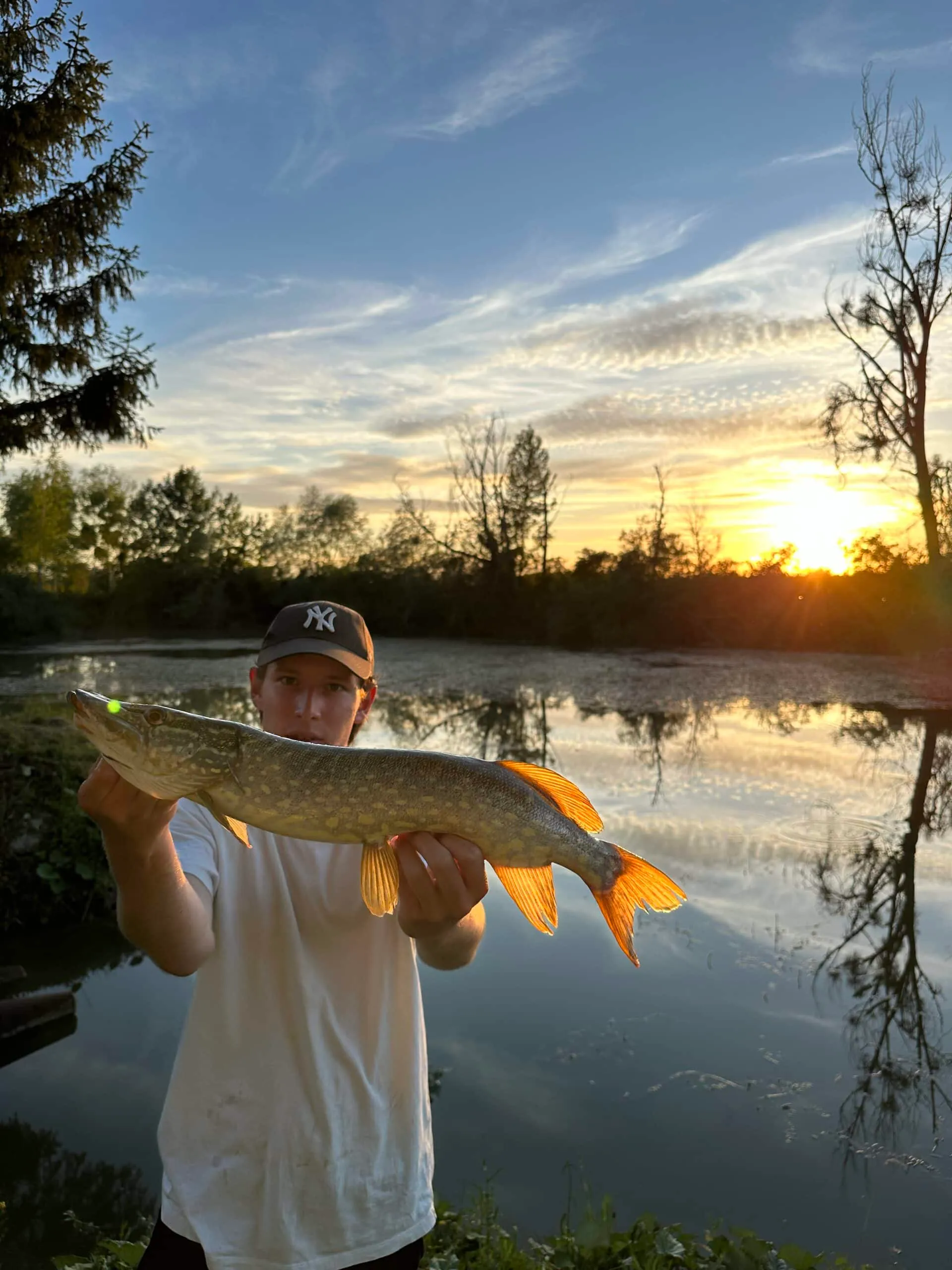 Étang avec yourte aménagée et forte population de poissons !