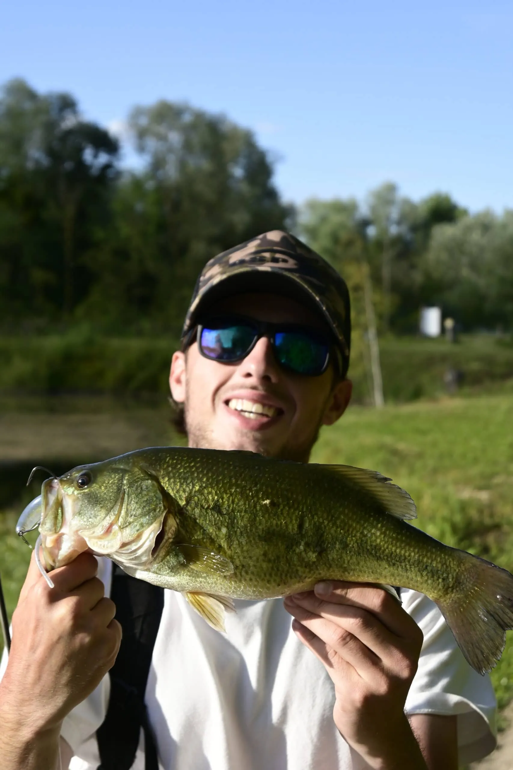 Étang avec yourte aménagée et forte population de poissons !
