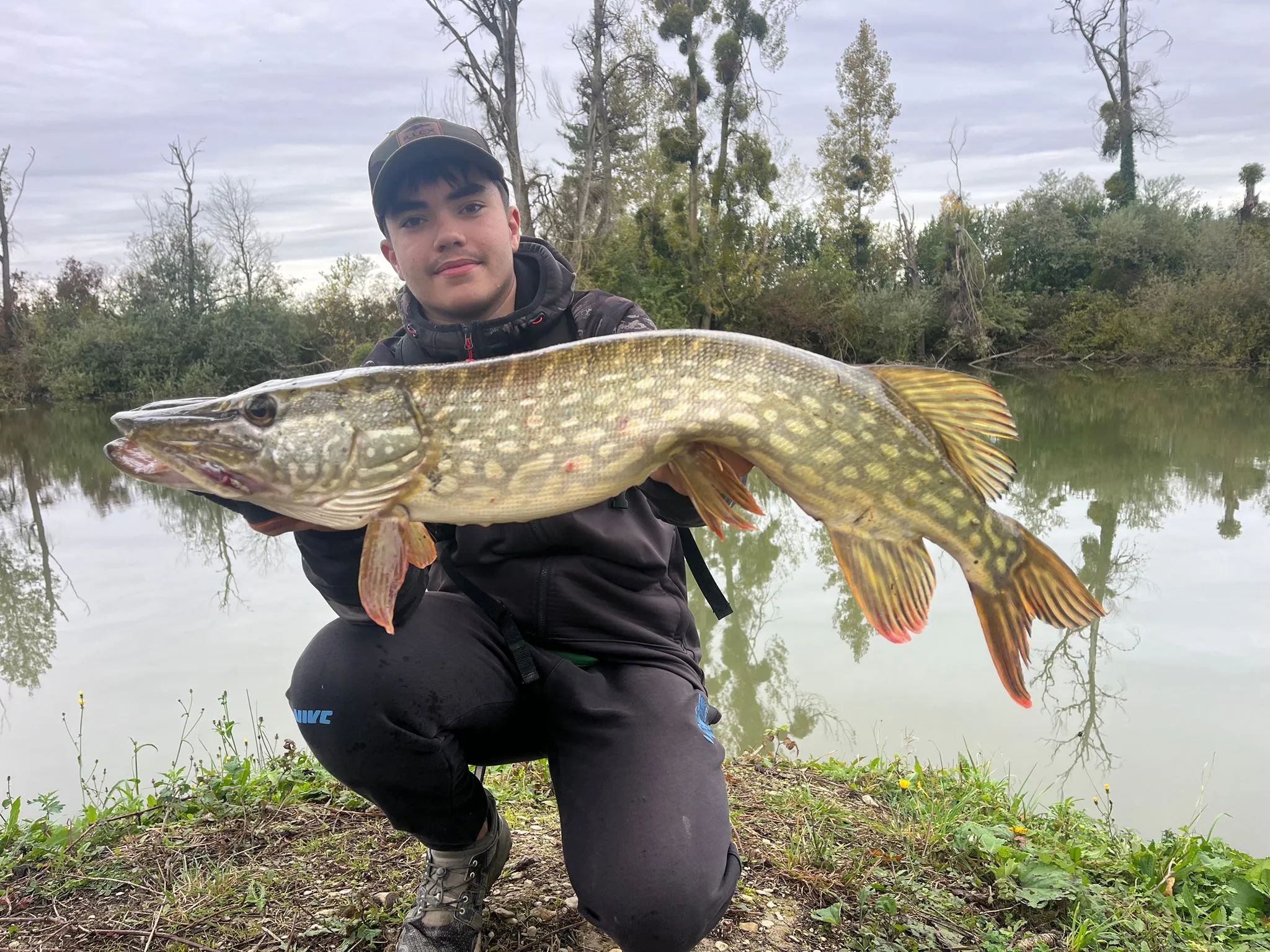 Étang avec yourte aménagée et forte population de poissons !