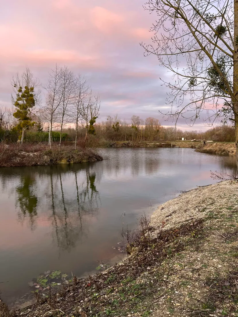 Pond with arranged yurt and strong fish population!