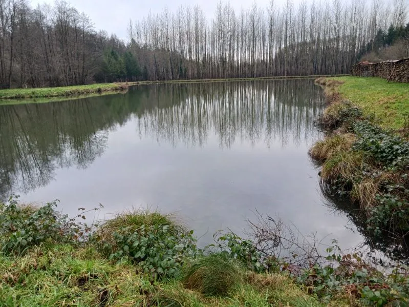 Etang de 2ha à côté de la frontière Belge