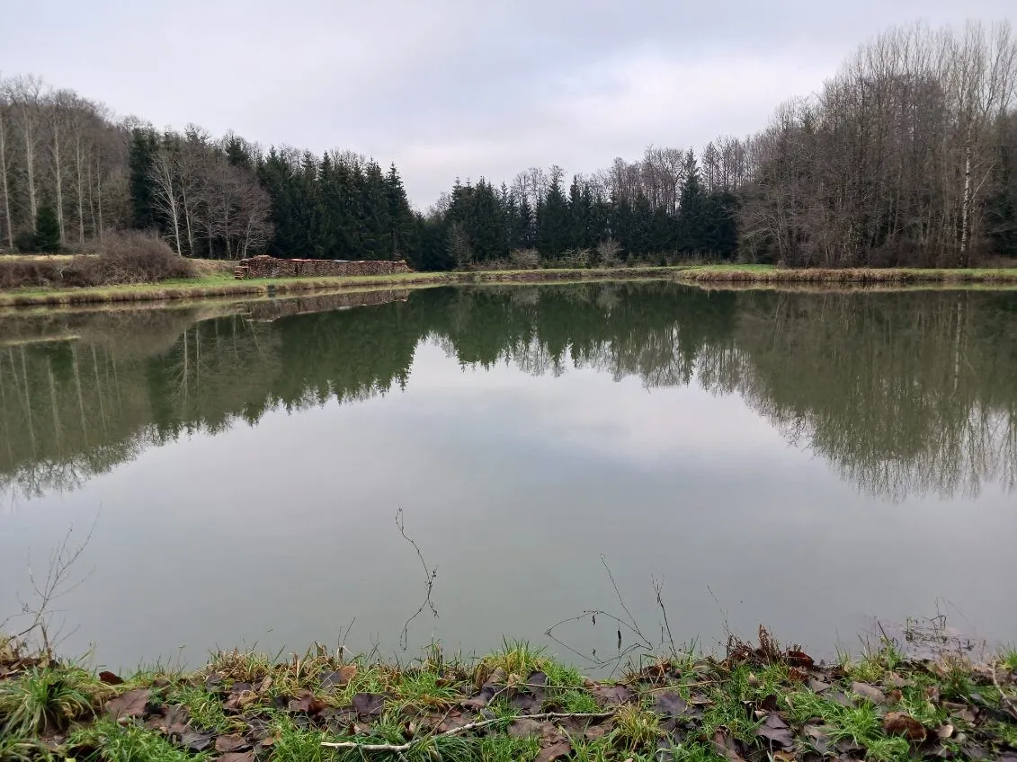 Etang de 2ha à côté de la frontière Belge