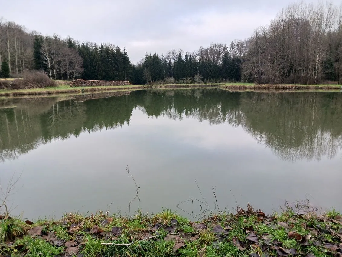 Etang de 2ha à côté de la frontière Belge