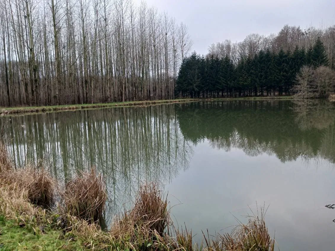 Etang de 2ha à côté de la frontière Belge