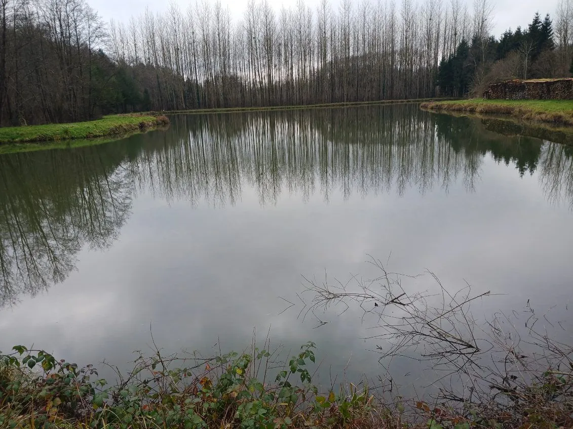 Etang de 2ha à côté de la frontière Belge