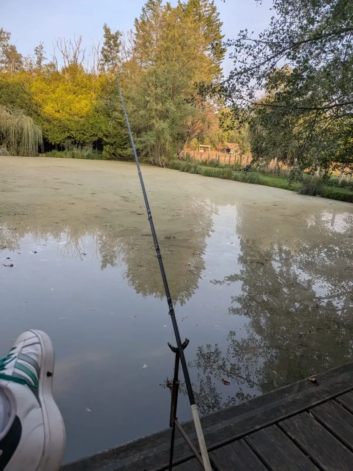 Pond with house of 322.92 sq ft