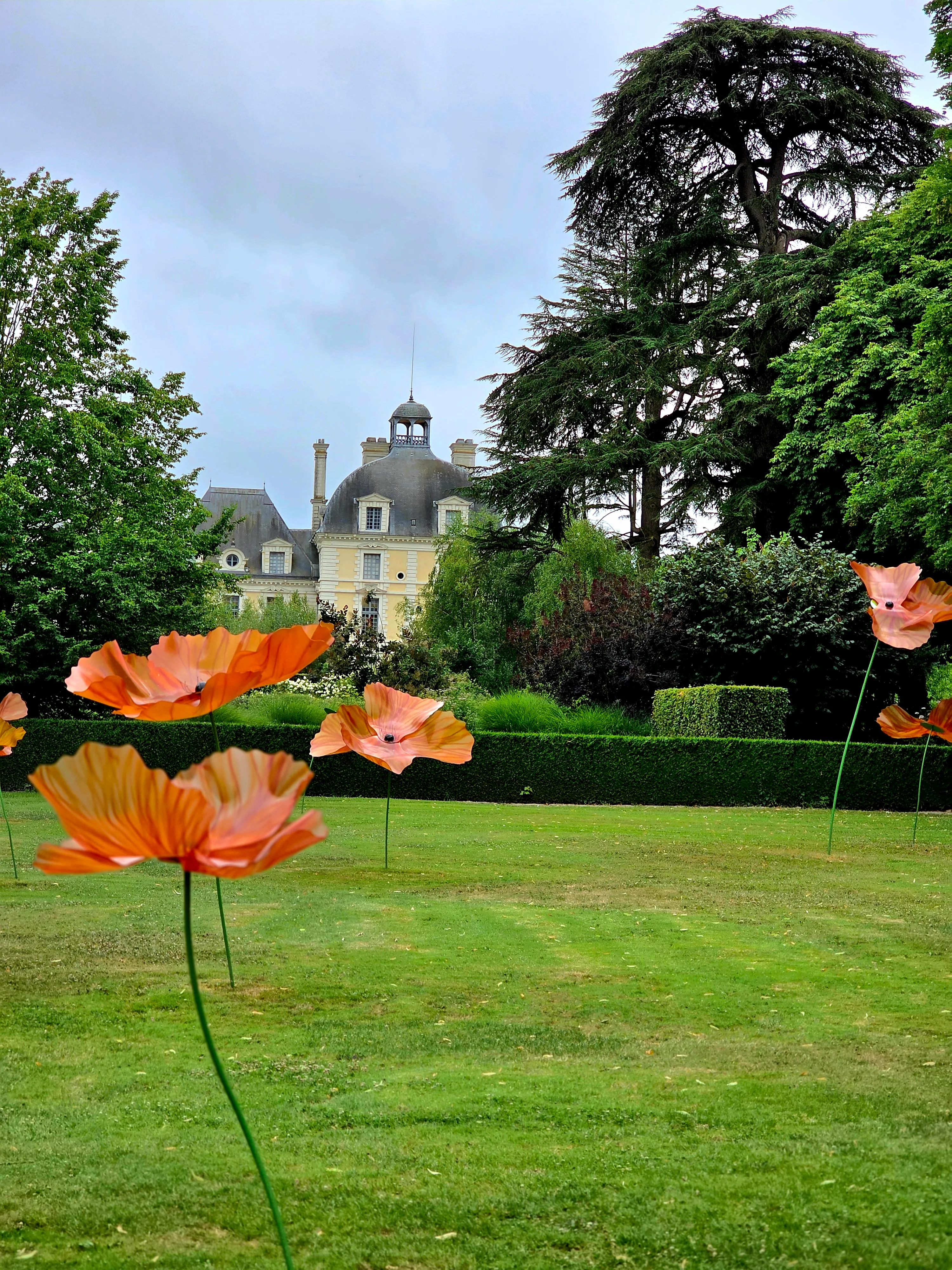 Maison solognote avec piscine et un Ă©tang de 5 ha en bord de forĂȘt