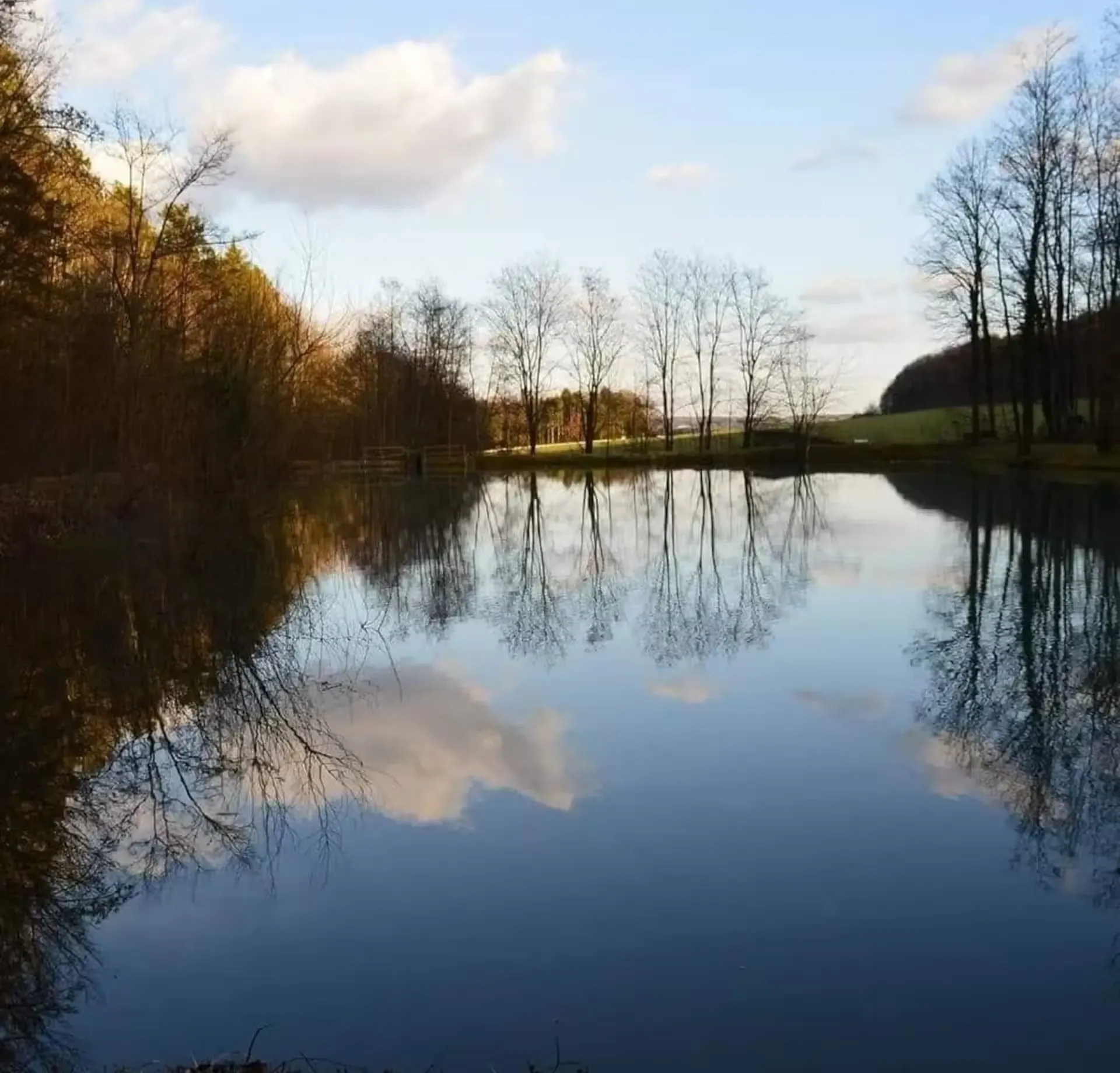 Eco-friendly chalet by a private pond in Haute-Marne