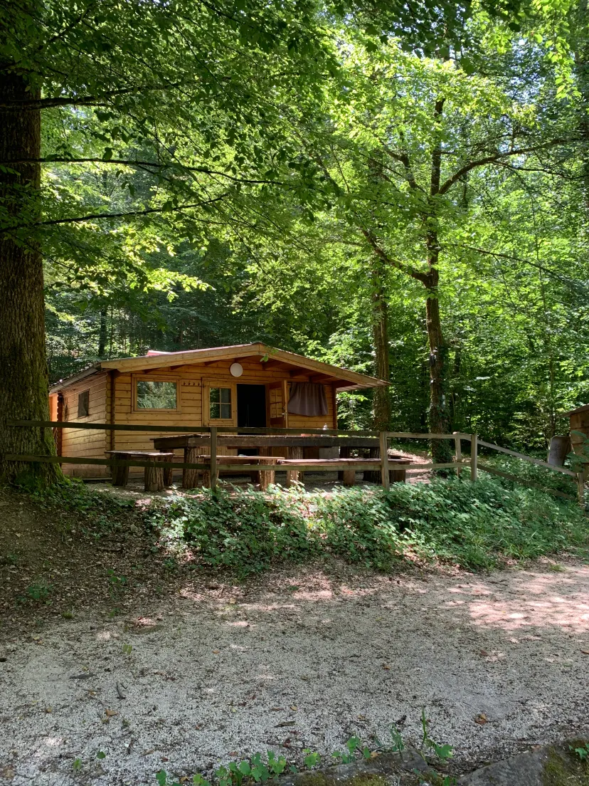 Chalet insolite avec bulle et étang privatif en Haute-Marne
