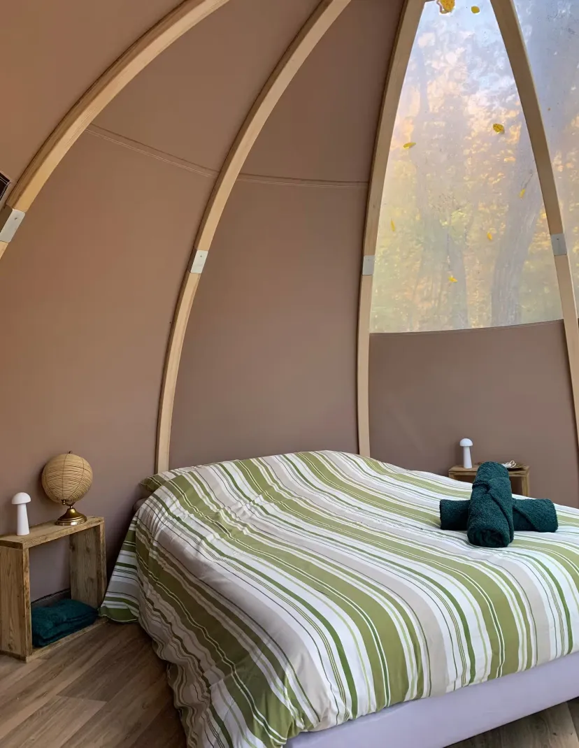 Unusual chalet with bubble and private pond in Haute-Marne