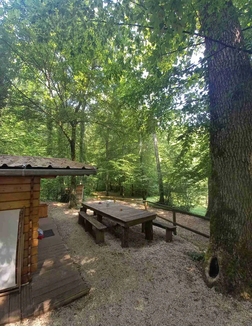 Unusual chalet with bubble and private pond in Haute-Marne
