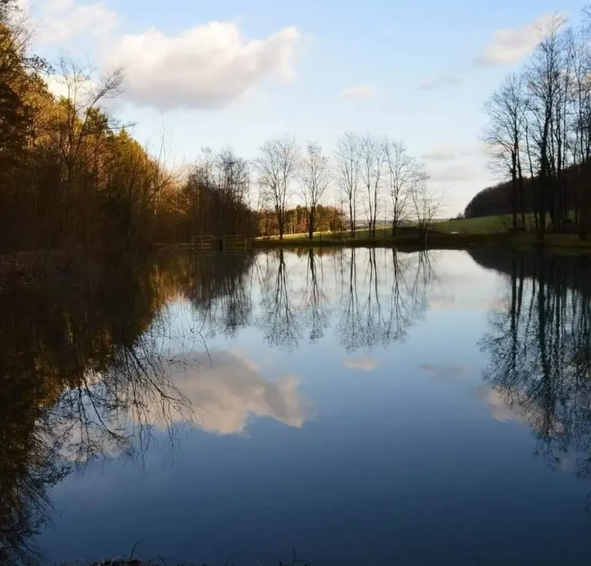 Unusual chalet with bubble and private pond in Haute-Marne