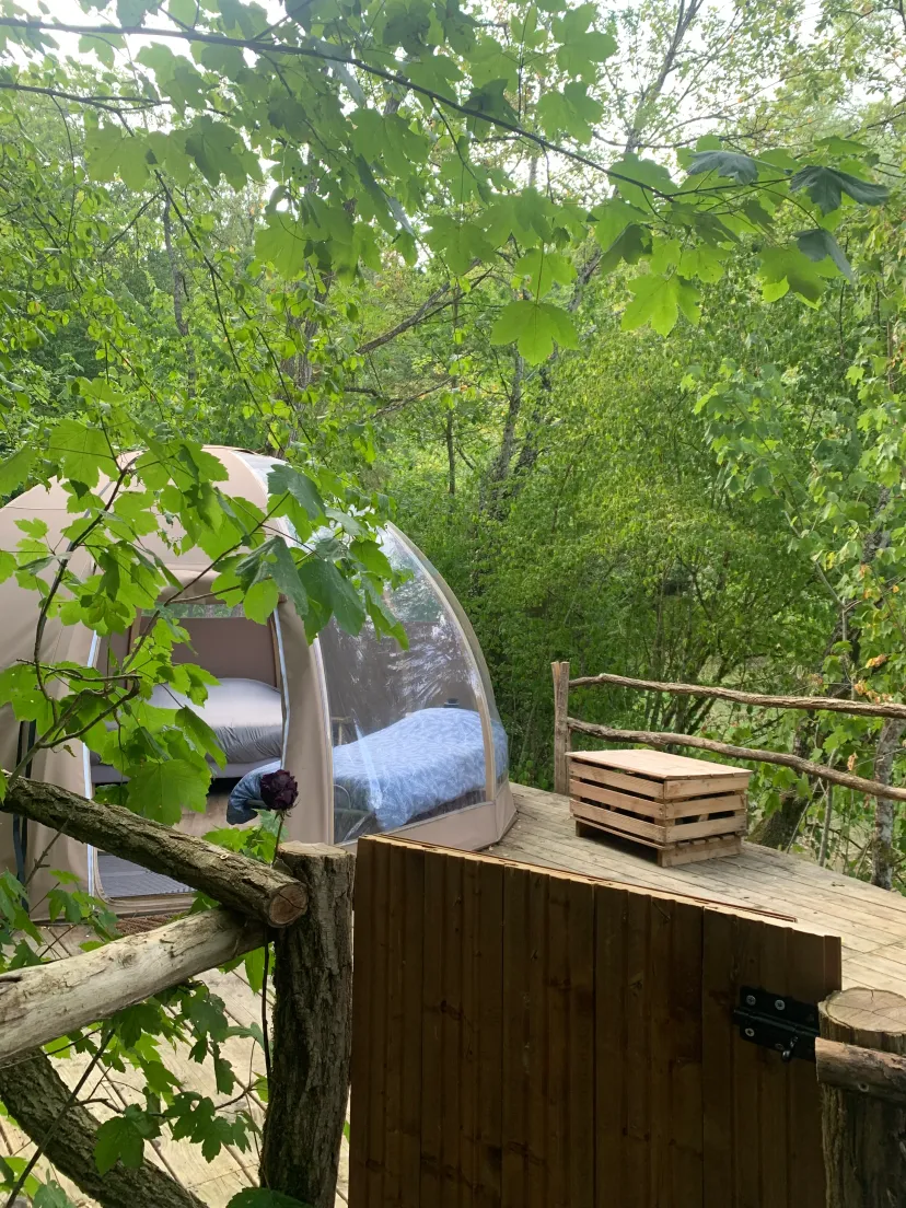 Chalet insolite avec bulle et étang privatif en Haute-Marne