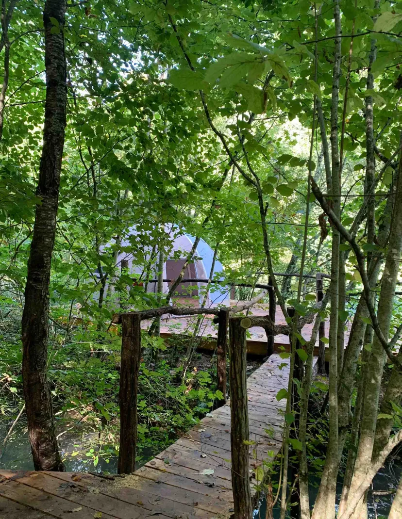 Unusual chalet with bubble and private pond in Haute-Marne