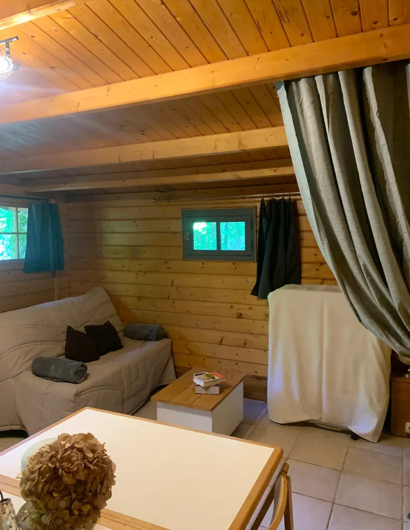 Unusual chalet with bubble and private pond in Haute-Marne