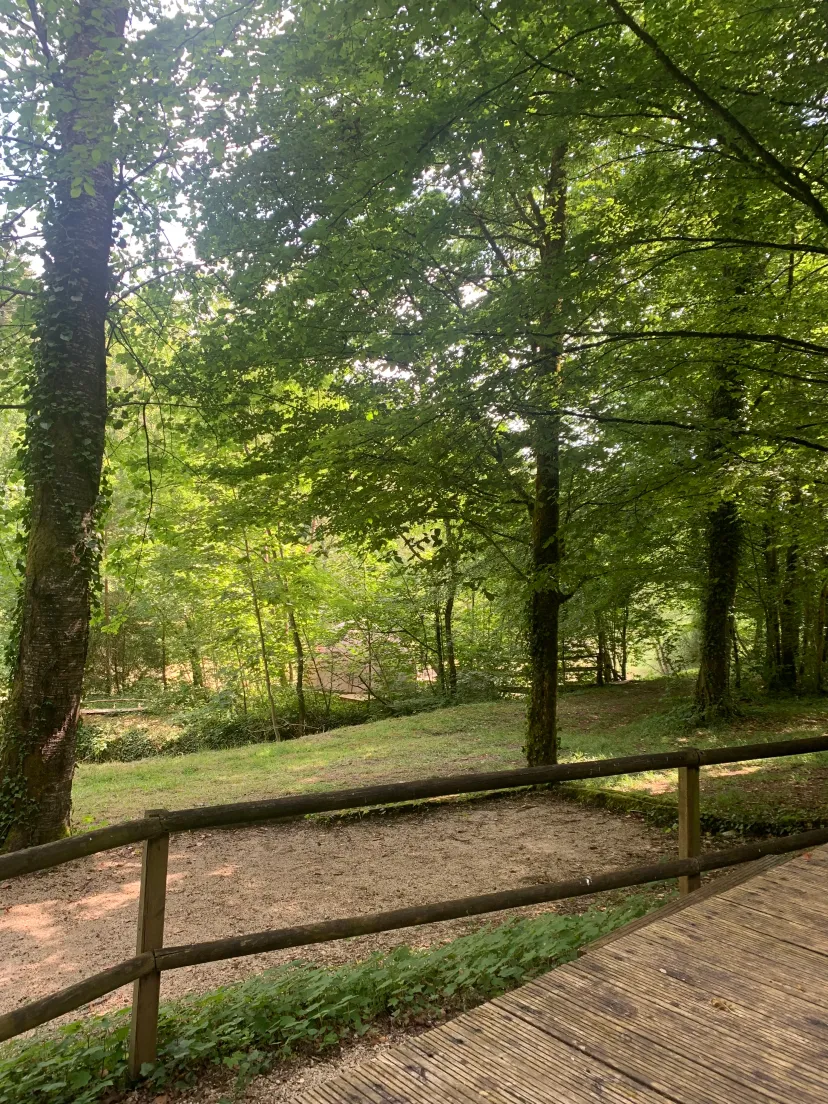Chalet insolite avec bulle et étang privatif en Haute-Marne
