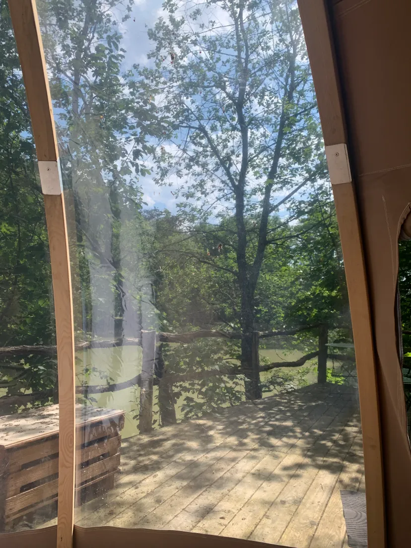 Chalet insolite avec bulle et étang privatif en Haute-Marne