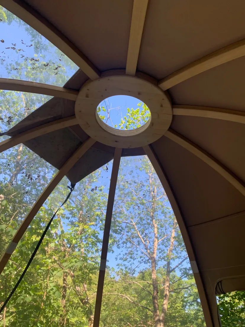 Chalet insolite avec bulle et étang privatif en Haute-Marne