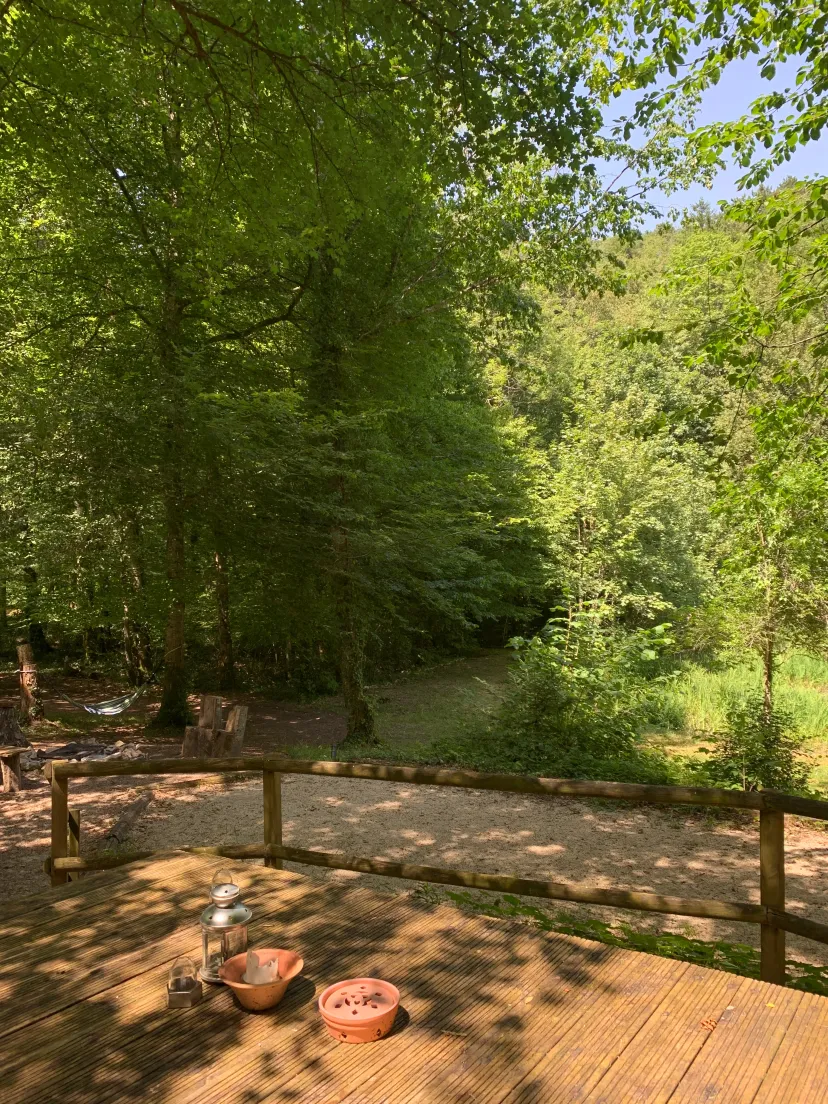 Chalet insolite avec bulle et étang privatif en Haute-Marne