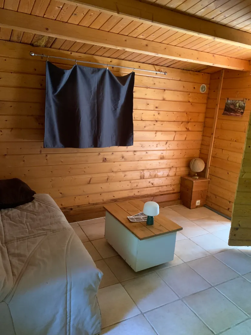 Chalet insolite avec bulle et étang privatif en Haute-Marne
