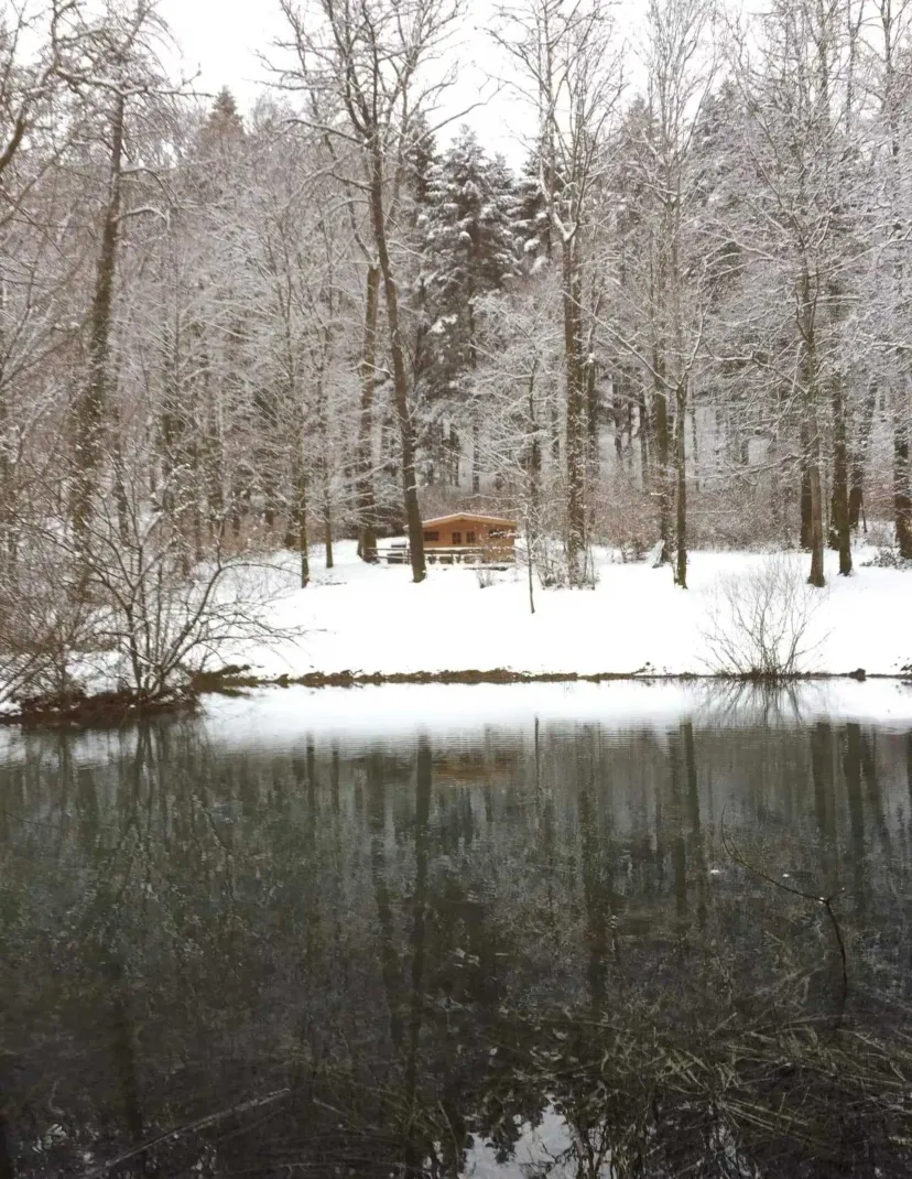 Unusual chalet with bubble and private pond in Haute-Marne