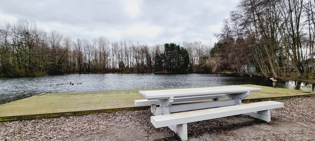 Chalet familial au bord d’un étang