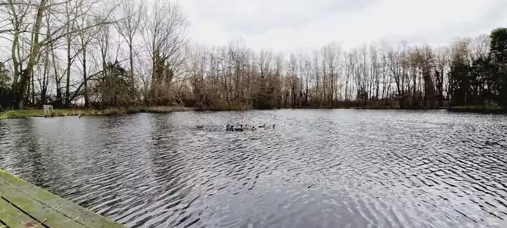 Chalet familial au bord d’un étang