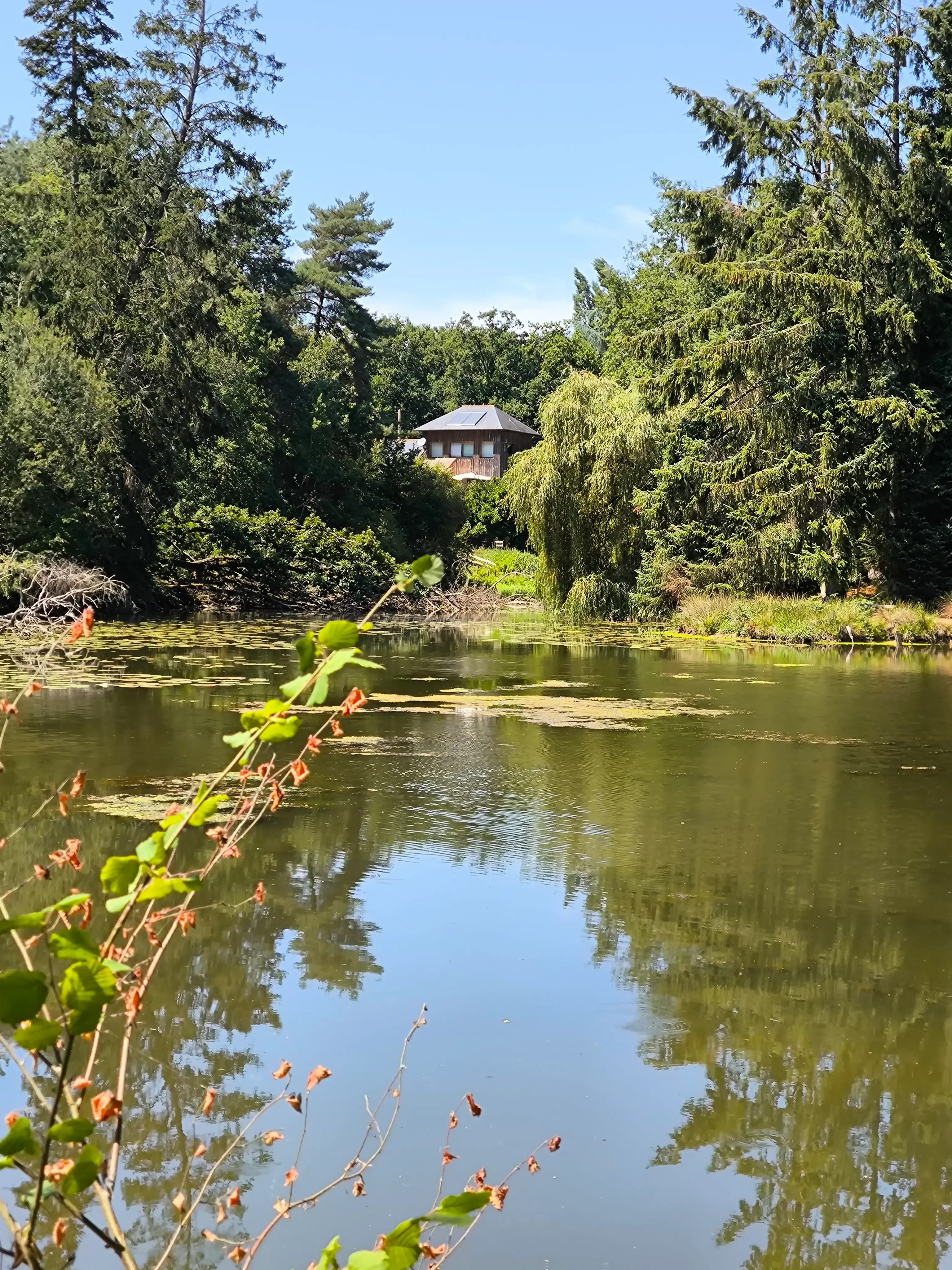 Bed and breakfast with private pond 2.47 ac in Broceliande – Brittany