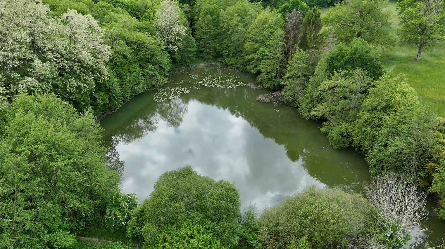Cabane d’évasion avec son étang privé et sa tranquillité