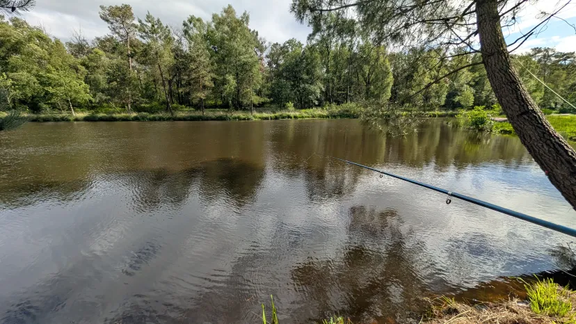 Plot on bare ground with 3.71 ac private pond in Bretagne