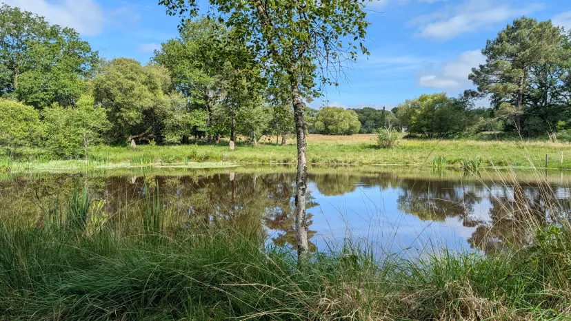 Plot on bare ground with 3.71 ac private pond in Bretagne