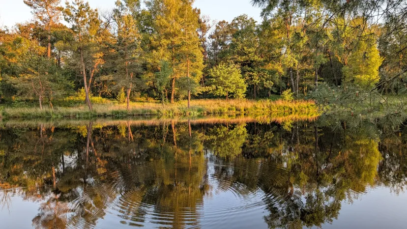 Plot on bare ground with 3.71 ac private pond in Bretagne