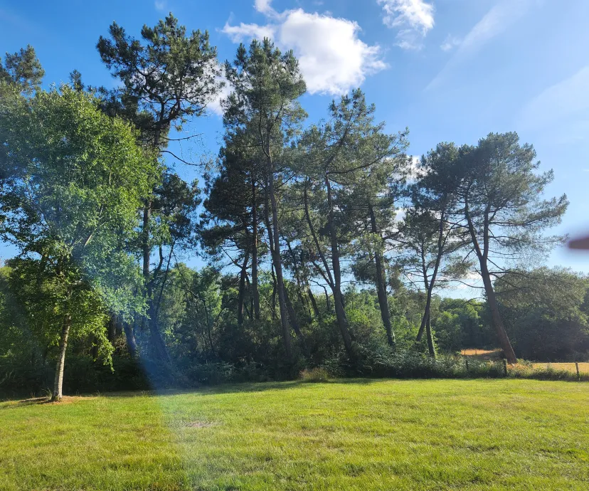 Plot on bare ground with 3.71 ac private pond in Bretagne