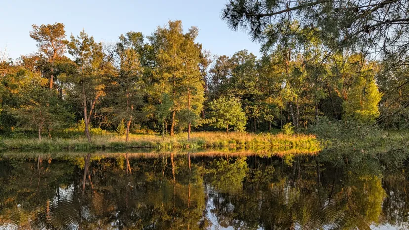 Plot on bare ground with 3.71 ac private pond in Bretagne