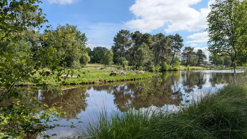 Plot on bare ground with 3.71 ac private pond in Bretagne