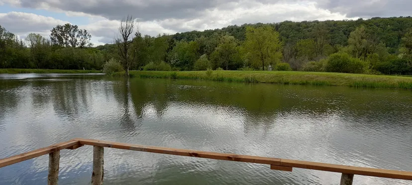 Cabane atypique avec une terrasse ouverte sur l’étang