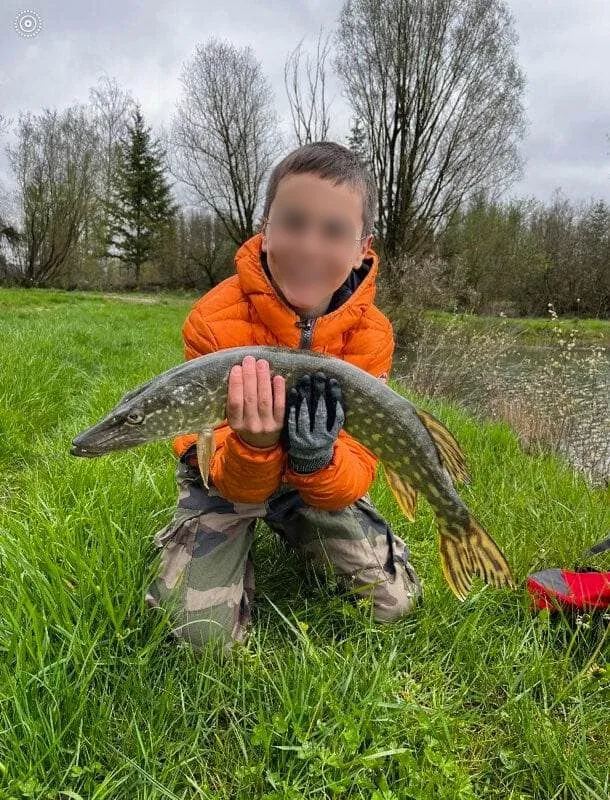 Poste de pêche en biwi / journée de pêche carnassier