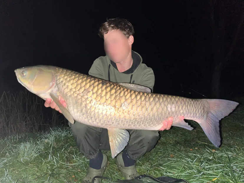 Poste de pêche en biwi / journée de pêche carnassier
