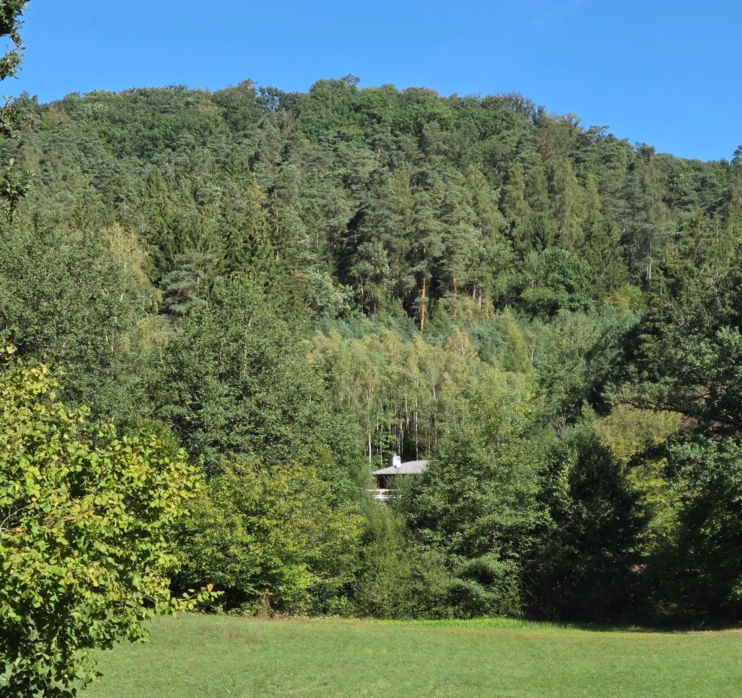 Chalet au bord d’un étang de 2ha dans le parc naturel des vosges du nord