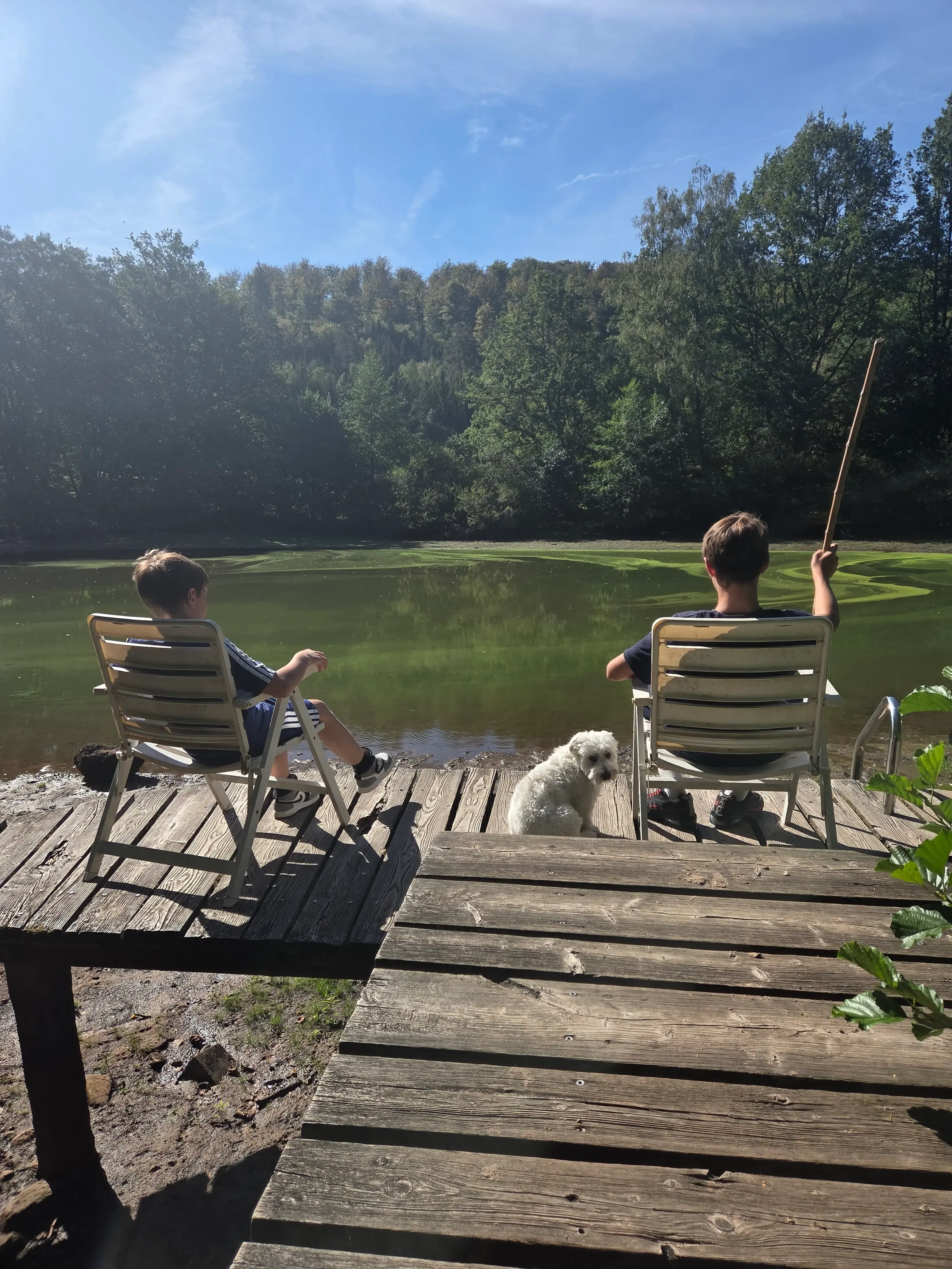 Chalet au bord d’un étang de 2ha dans le parc naturel des vosges du nord